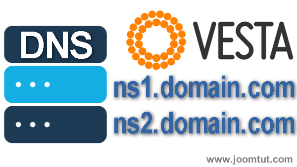 How to setup private domain name servers in VestaCP