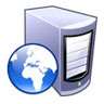 What is the web server and web hosting?